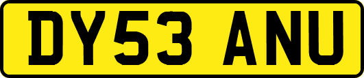DY53ANU