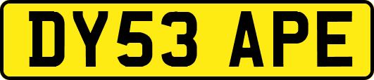 DY53APE