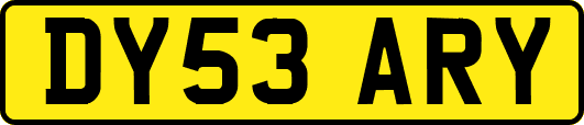 DY53ARY