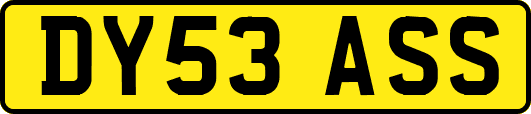 DY53ASS