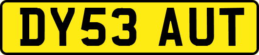 DY53AUT