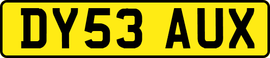 DY53AUX