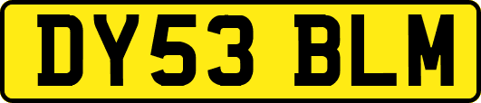DY53BLM