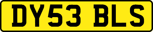 DY53BLS