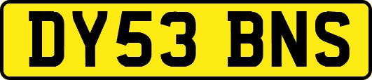 DY53BNS