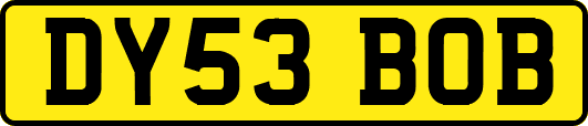 DY53BOB
