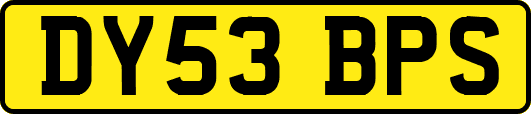 DY53BPS