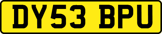 DY53BPU