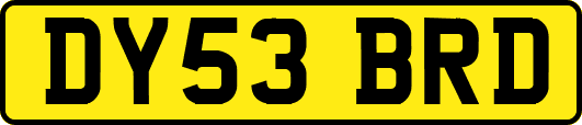 DY53BRD