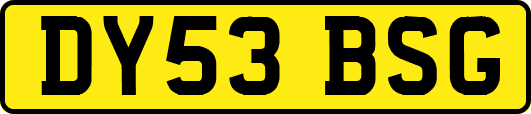 DY53BSG
