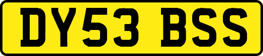 DY53BSS