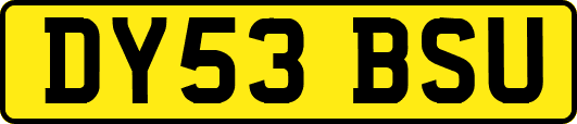DY53BSU
