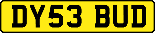 DY53BUD
