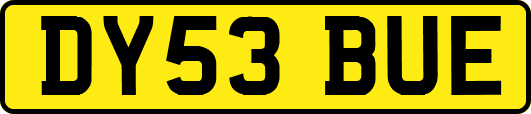 DY53BUE
