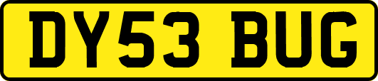 DY53BUG