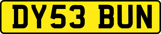 DY53BUN