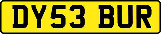DY53BUR
