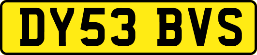 DY53BVS