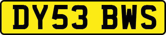 DY53BWS
