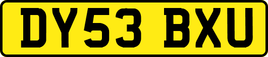 DY53BXU