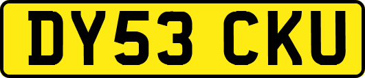 DY53CKU