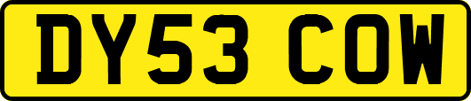 DY53COW
