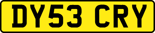 DY53CRY