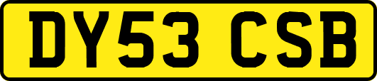 DY53CSB