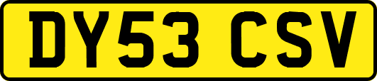 DY53CSV