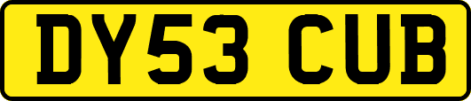 DY53CUB
