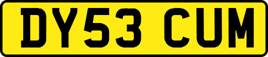 DY53CUM
