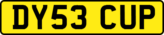 DY53CUP