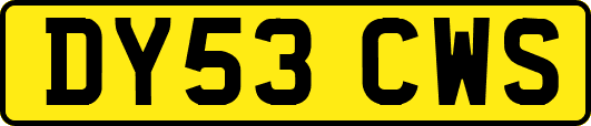 DY53CWS