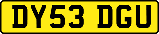 DY53DGU