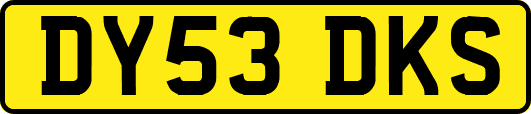 DY53DKS