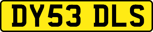DY53DLS