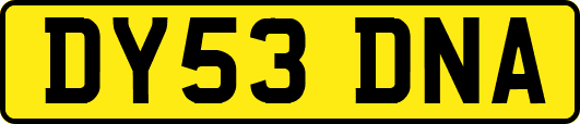 DY53DNA