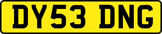 DY53DNG