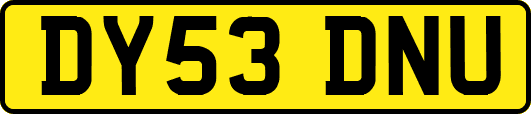 DY53DNU