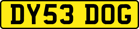 DY53DOG