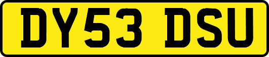 DY53DSU