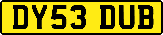 DY53DUB