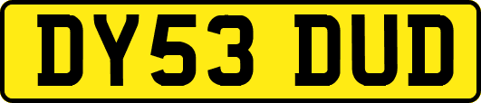 DY53DUD
