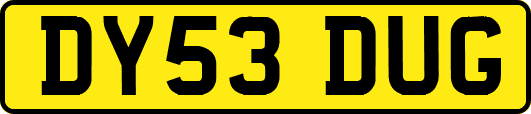 DY53DUG