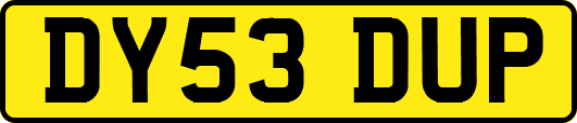 DY53DUP