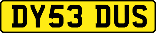DY53DUS