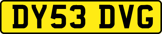 DY53DVG