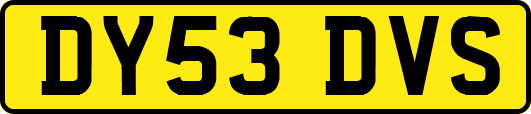 DY53DVS