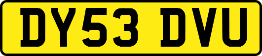 DY53DVU