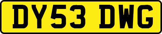 DY53DWG